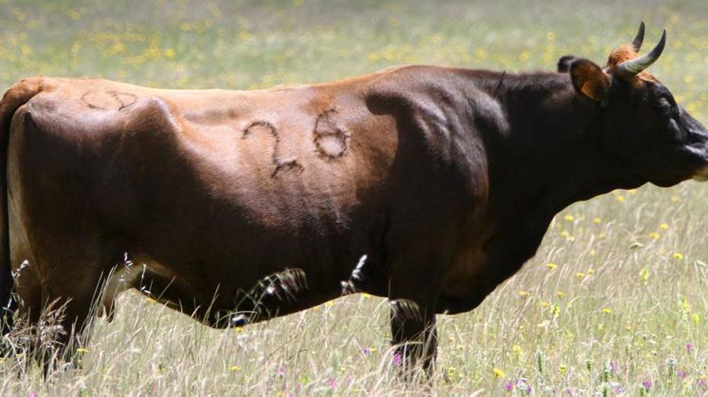 Photo d’illustration. © Pixabay